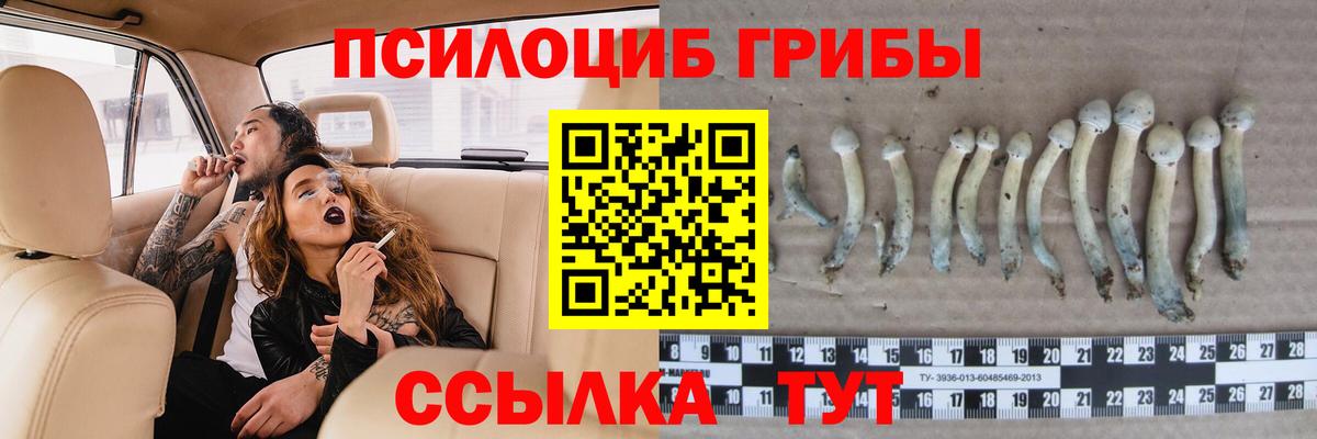 Галлюциногенные грибы мицелий Канаш