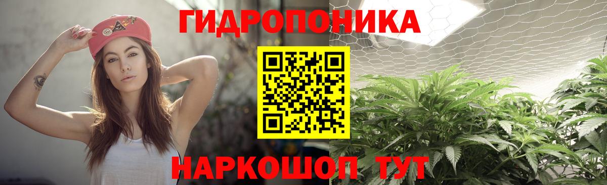 Шишки марихуана индика Канаш